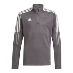 Джемпер для мальчика Adidas Tiro 21 Jr GM7321, серый цена и информация | Свитеры, жилетки, пиджаки для мальчиков | 220.lv