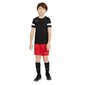 Sporta šorti zēniem Nike Dry Academy 21 Short Junior CW6109 657, sarkani цена и информация | Zēnu šorti | 220.lv