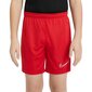 Sporta šorti zēniem Nike Dry Academy 21 Short Junior CW6109 657, sarkani цена и информация | Zēnu šorti | 220.lv