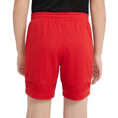 Спортивные шорты для мальчиков Nike Dry Academy 21 Short Junior CW6109-657, красные цена и информация | Шорты для мальчиков | 220.lv