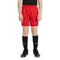 Sporta šorti zēniem Nike Dry Academy 21 Short Junior CW6109 657, sarkani цена и информация | Zēnu šorti | 220.lv