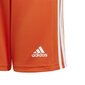 Šorti zēnam Adidas Squadra 21 Jr GN8082, oranži cena un informācija | Zēnu šorti | 220.lv