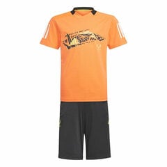 Спортивный костюм для девочек Adidas Messi, оранжевый, 7-8 лет, S6435586 цена и информация | Рубашки для мальчиков | 220.lv
