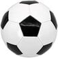 Futbola bumba Enero Boružė, 5. izmērs цена и информация | Futbola bumbas | 220.lv