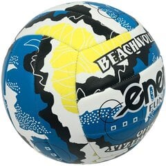 Мяч для пляжного волейбола Enero Fun, размер 5. цена и информация | Волейбольные мячи | 220.lv