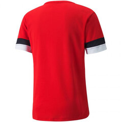 Vīriešu sporta T-krekls Puma teamRise Jersey M 704932 01, sarkans cena un informācija | Vīriešu T-krekli | 220.lv