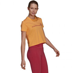T-krekls sievietēm Adidas Gradient Logo Cropped T Shirt W GM5579, oranžs cena un informācija | T-krekli sievietēm | 220.lv