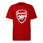 T-krekls vīriešiem Adidas Arsenal London M GR4197, sarkans cena un informācija | Vīriešu T-krekli | 220.lv