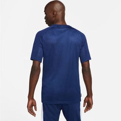 Футболка мужская Nike Dri Fit Academy M DA5568 492, синяя цена и информация | Мужские футболки | 220.lv