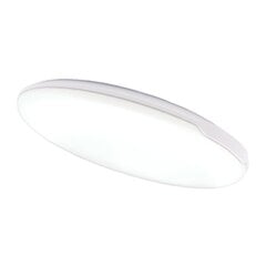 Plafonveida LED gaismeklis "RGA" 18W цена и информация | Потолочные светильники | 220.lv