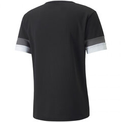 Футболка мужская Puma Team Rise Jersey M 704932 03, цвет черный цена и информация | Мужские футболки | 220.lv