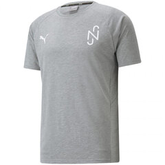 Футболка мужская Puma Neymar Evostripe Tee Medium M 605604 05, серая цена и информация | Мужские футболки | 220.lv