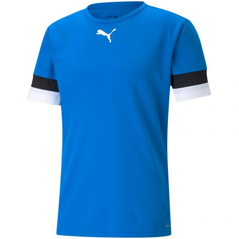 Sporta T-krekls vīriešiem Puma teamRise Jersey M 704932 02, zils цена и информация | Vīriešu T-krekli | 220.lv