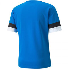 Футболка спортивная мужская Puma teamRise Jersey M 704932 02, синяя цена и информация | Мужские футболки | 220.lv