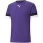 Sporta T-krekls vīriešiem Puma teamRise Jersey M 704932 10, violets cena un informācija | Vīriešu T-krekli | 220.lv