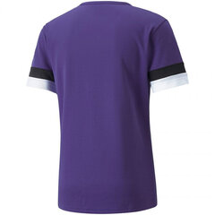 Мужская спортивная футболка Puma teamRise Jersey M 704932 10, фиолетовая цена и информация | Футболки мужские | 220.lv