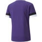 Sporta T-krekls vīriešiem Puma teamRise Jersey M 704932 10, violets cena un informācija | Vīriešu T-krekli | 220.lv