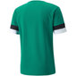 T-krekls vīriešiem Puma teamRise Jersey M 704932 05, zaļš цена и информация | Vīriešu T-krekli | 220.lv