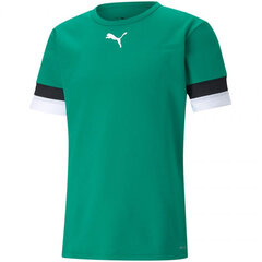 T-krekls vīriešiem Puma teamRise Jersey M 704932 05, zaļš cena un informācija | Vīriešu T-krekli | 220.lv