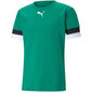 T-krekls vīriešiem Puma teamRise Jersey M 704932 05, zaļš цена и информация | Vīriešu T-krekli | 220.lv
