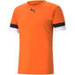 Sporta T-krekls vīriešiem Puma TeamRise Jersey M 704932 08, oranžs cena un informācija | Vīriešu T-krekli | 220.lv