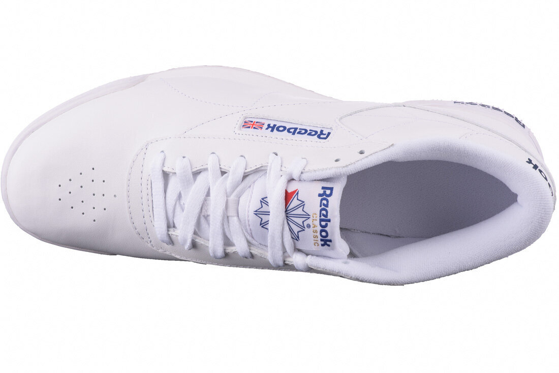 Sporta apavi vīriešiem Reebok Exofit Clean Logo INT AR3169, balti cena un informācija | Sporta apavi vīriešiem | 220.lv