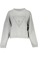 Джемпер для женщин Guess Jeans, серый цена и информация | Женские толстовки | 220.lv