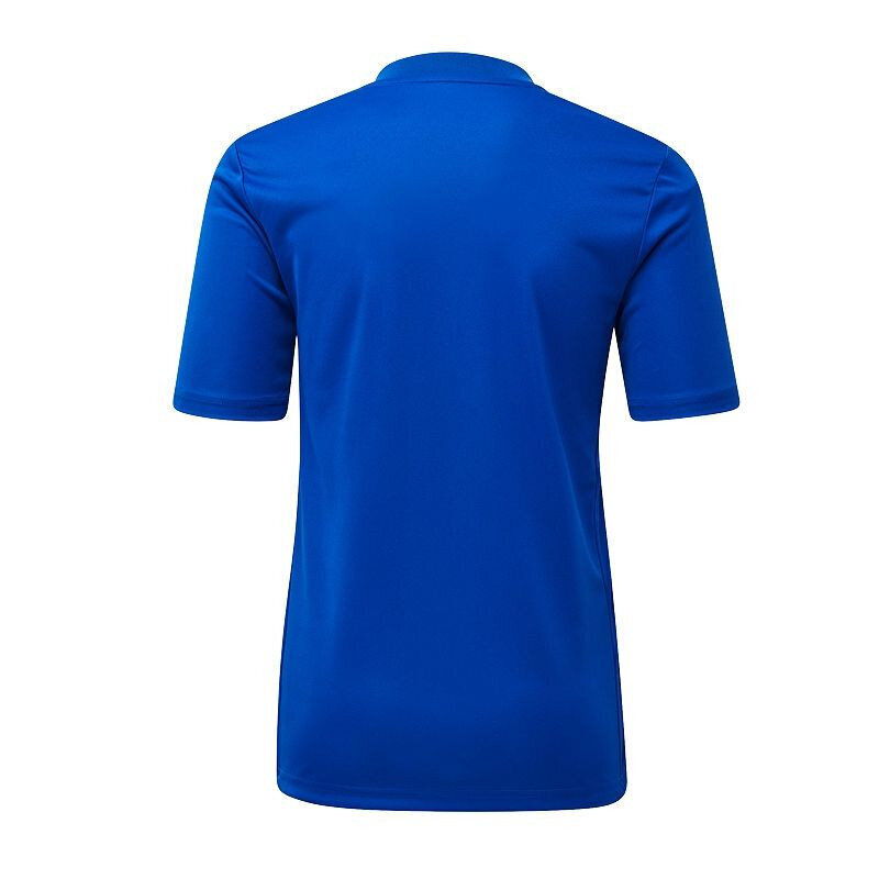 T-krekls bērniem Adidas Striped 19 Jr DU4396, zils cena un informācija | Zēnu krekli | 220.lv