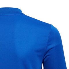 Футболка детская Adidas Striped 19 Jr DU4396, синяя цена и информация | Рубашки для мальчиков | 220.lv