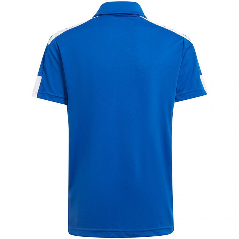 Sporta T-krekls zēniem Adidas Squadra 21 Polo Jr GP6425, zils цена и информация | Zēnu krekli | 220.lv