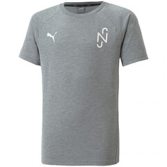 Футболка детская Puma Neymar Evostripe Tee Medi Jr 605630 05, серая цена и информация | Рубашки для мальчиков | 220.lv