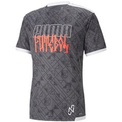 Футболка детская Puma Neymar Jr M 605594 07, серая цена и информация | Рубашки для мальчиков | 220.lv