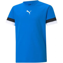 T-krekls bērniem Puma TeamRise Jersey Jr 704938 02, zils цена и информация | Рубашки для мальчиков | 220.lv