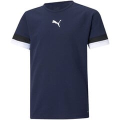 T-krekls bērniem Puma TeamRise Jersey Jr 704938 06, zils cena un informācija | Puma Apģērbs zēniem | 220.lv