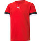 T-krekls bērniem Puma TeamRise Jersey Jr. 704938 01, sarkans цена и информация | Zēnu krekli | 220.lv