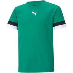 T-krekls bērniem Puma TeamRise Jersey Jr. 704938 05, zaļš cena un informācija | Puma Apģērbs zēniem | 220.lv