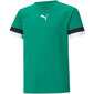 T-krekls bērniem Puma TeamRise Jersey Jr. 704938 05, zaļš цена и информация | Zēnu krekli | 220.lv