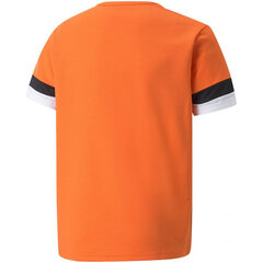 Футболка детская Puma TeamRise Jersey Jr 704938 08, оранжевая цена и информация | Рубашки для мальчиков | 220.lv