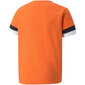 T-krekls bērniem Puma TeamRise Jersey Jr 704938 08, oranžs cena un informācija | Zēnu krekli | 220.lv