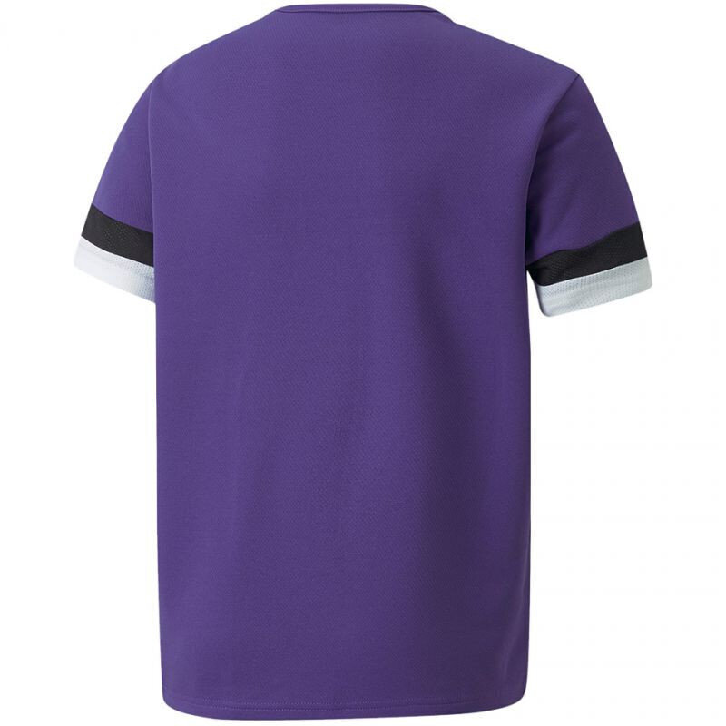 T-krekls bērniem Puma TeamRise Jr 704938 10, violets cena un informācija | Zēnu krekli | 220.lv