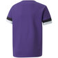 T-krekls bērniem Puma TeamRise Jr 704938 10, violets cena un informācija | Zēnu krekli | 220.lv
