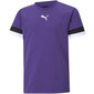 T-krekls bērniem Puma TeamRise Jr 704938 10, violets цена и информация | Zēnu krekli | 220.lv