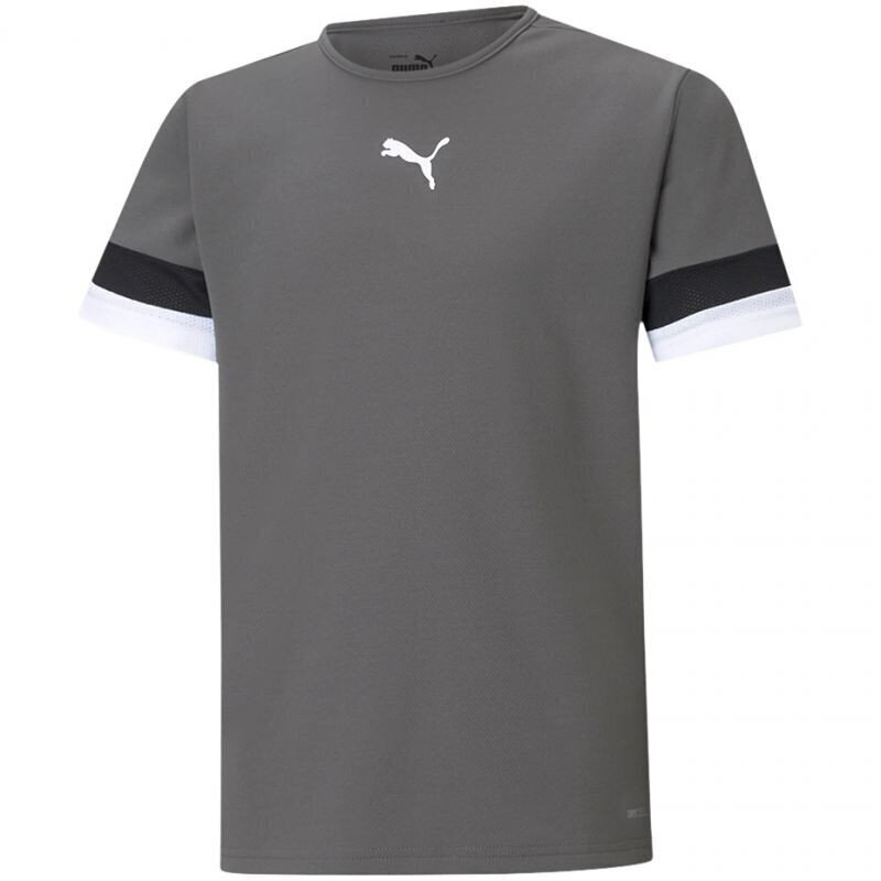 T-krekls bērniem Puma TeamRise Jersey Jr 704938 13, pelēks цена и информация | Zēnu krekli | 220.lv