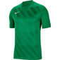 Sporta T-krekls zēniem Nike Dri Fit Challange 3 Y Jr BV6738 302, zaļš цена и информация | Zēnu krekli | 220.lv