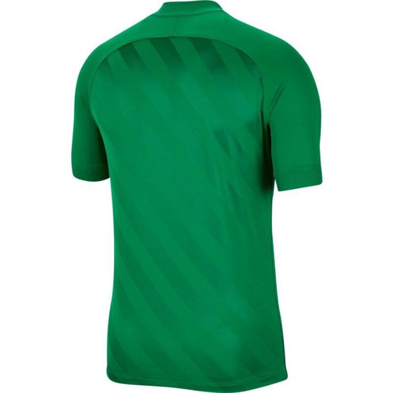 Sporta T-krekls zēniem Nike Dri Fit Challange 3 Y Jr BV6738 302, zaļš cena un informācija | Zēnu krekli | 220.lv