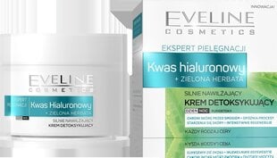 Krēms - Hyaluronic EVELINE Skin Care Expert, 50 ml cena un informācija | Sejas krēmi | 220.lv