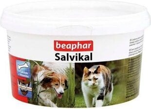 Минерально-витаминный препарат для собак Beaphar, 250 г цена и информация | Витамины, пищевые добавки, анти-паразит продукты для собак | 220.lv