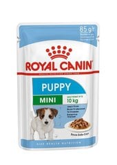 ROYAL CANIN SHN WET 85Gx12 MINI PUPPY KUCĒNIEM цена и информация | Консервы для собак | 220.lv