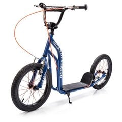 Велосипед - самокат Meteor Fozzy, синий цена и информация | Самокаты | 220.lv