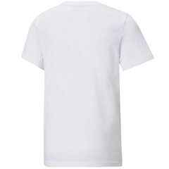 T-krekls bērniem Puma Power Logo Jr 589302 02, balts cena un informācija | Zēnu krekli | 220.lv